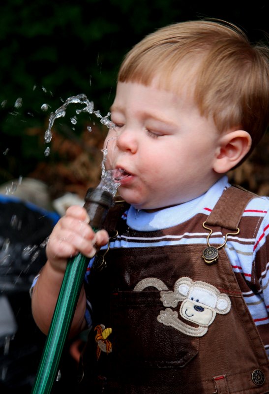 GETTING A DRINK