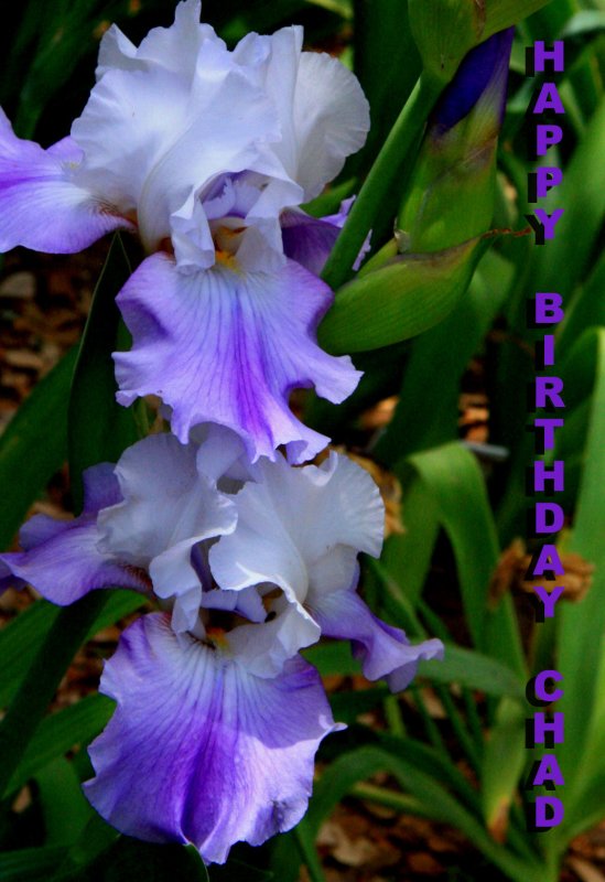 HAPPY BIRTHDAY, CHAD!!!