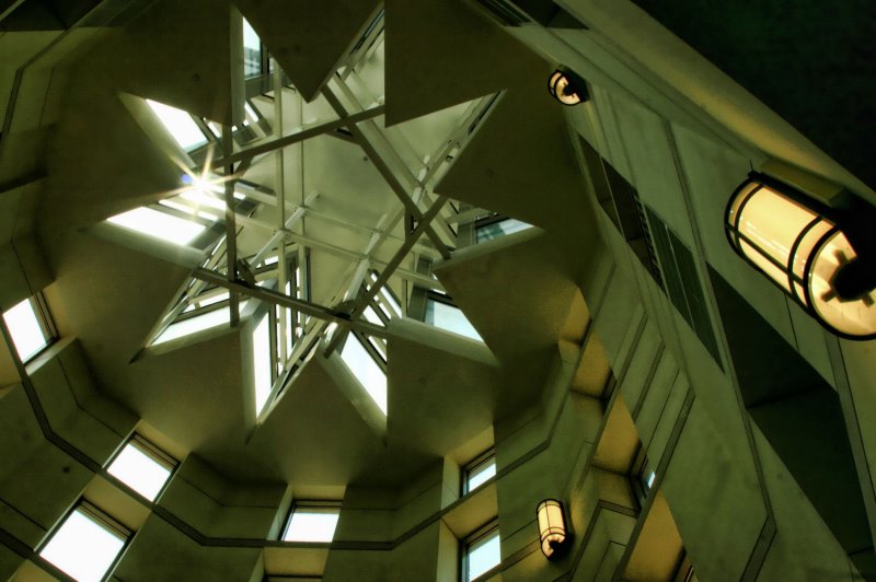 STAR IN A STAR