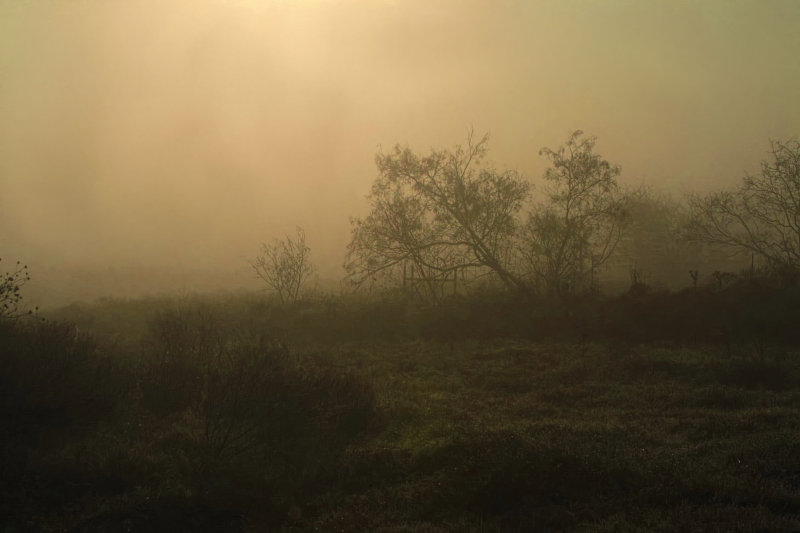 FROM THE END OF MY STREET