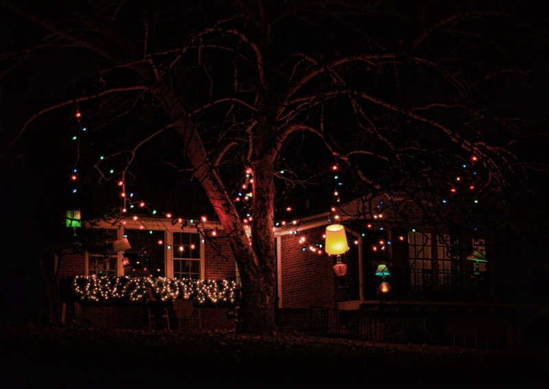 TREE LAMPS ACCOMPANIED BY THE MUSIC  WIZARDS IN WINTER