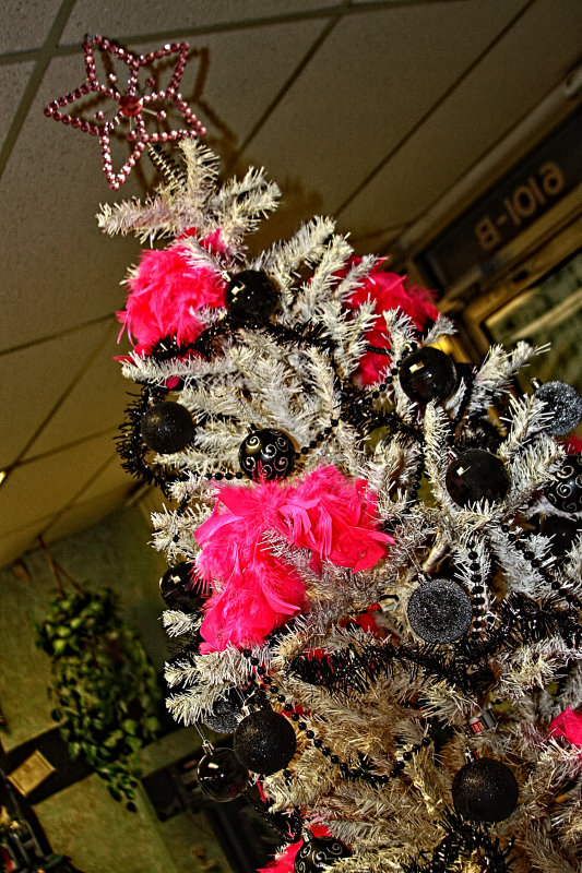 ROCKIN AROUND THE CHRISTMAS TREE
