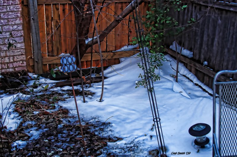 IN THE CORNER OF MY LITTLE GARDEN