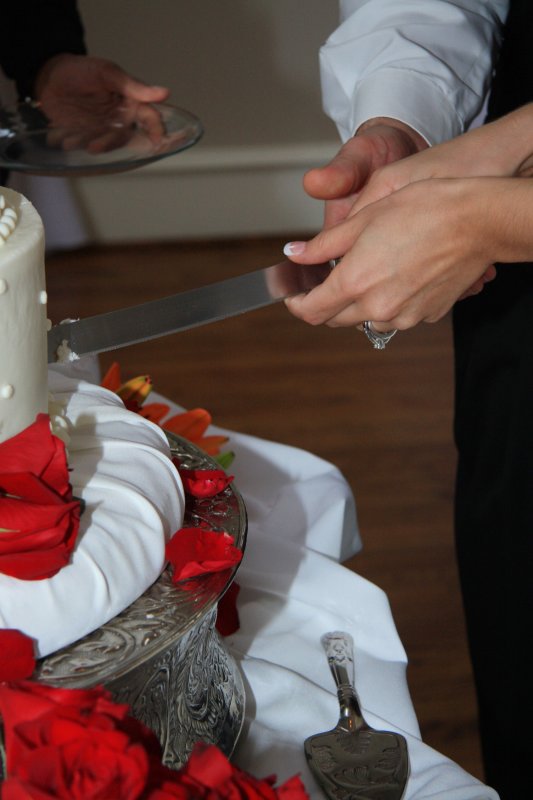 CUTTING THE CAKE
