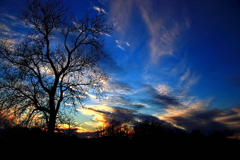 TEXAS WINTER SUNSET