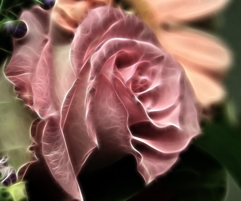 ROSE FRACTUALIZATION