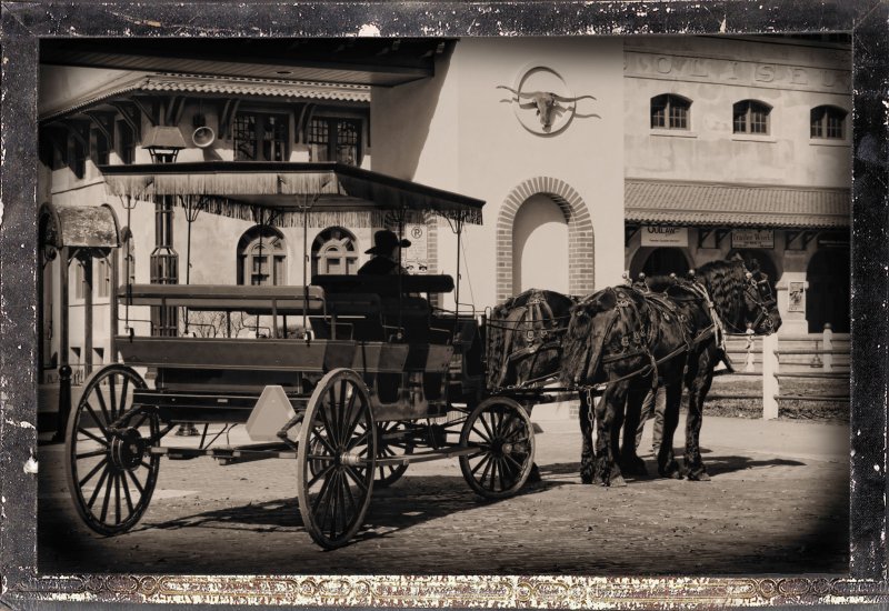 HORSE AND BUGGY