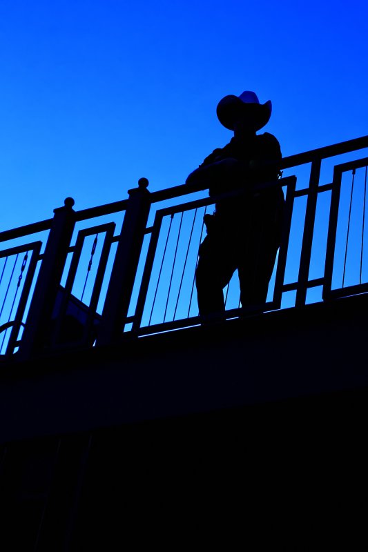 COWBOY COP
