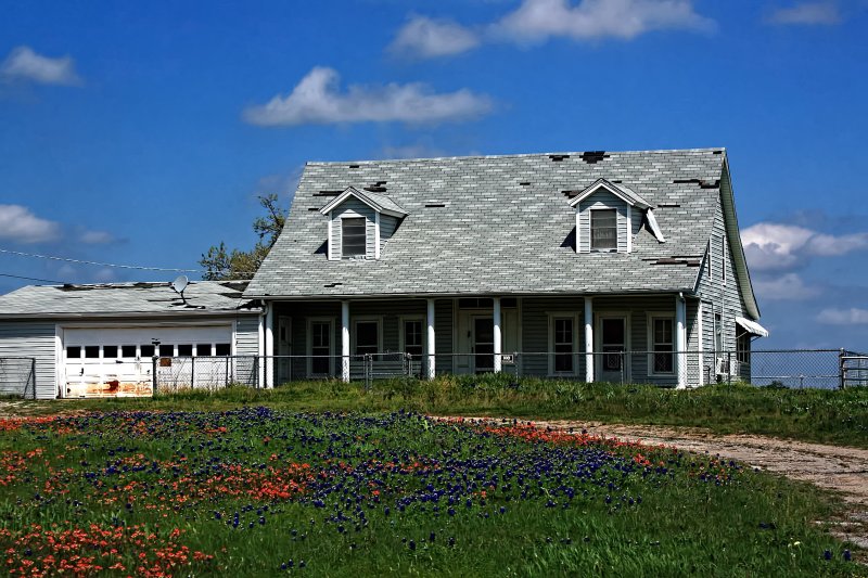 WILDFLOWERS
