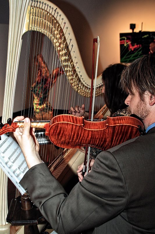 VIOLIN AND HARP
