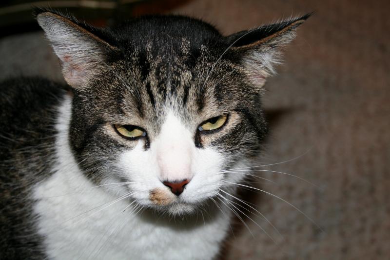 MOM, QUIT TAKING MY PICTURE!!