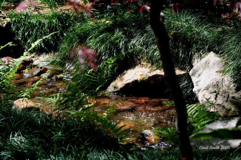 A STREAM RUNS THROUGH IT