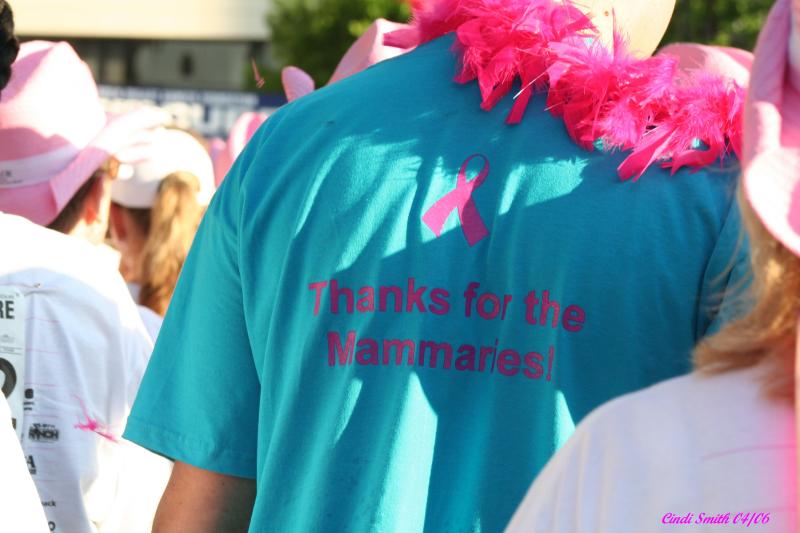 THANKS FOR THE MAMMARIES