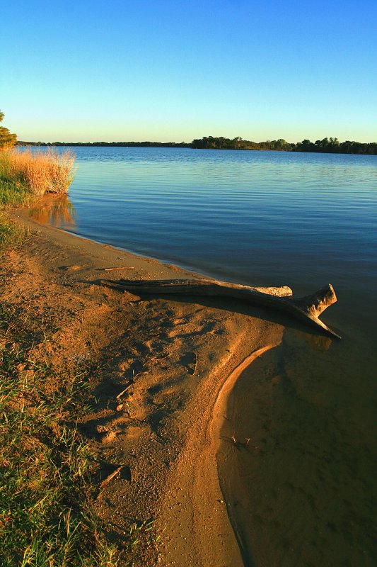 GOLDEN SHORELINE
