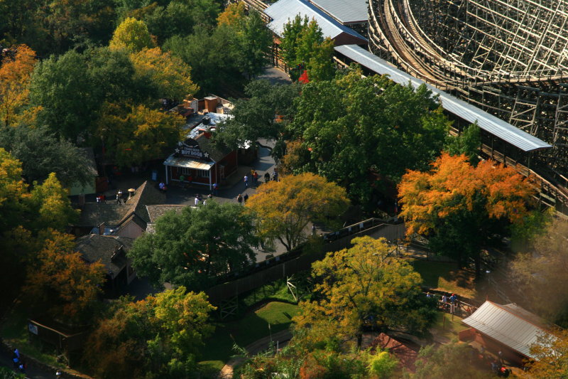 LOOKING DOWN FROM THE TOWER