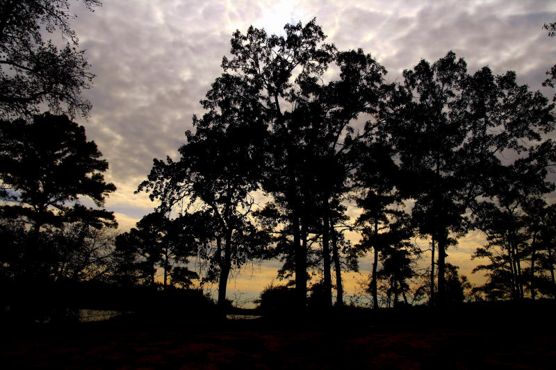 EAST TEXAS IN EARLY MORNING