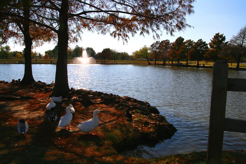 BEAUTIFUL AUTUMN DAY AT THE PARK