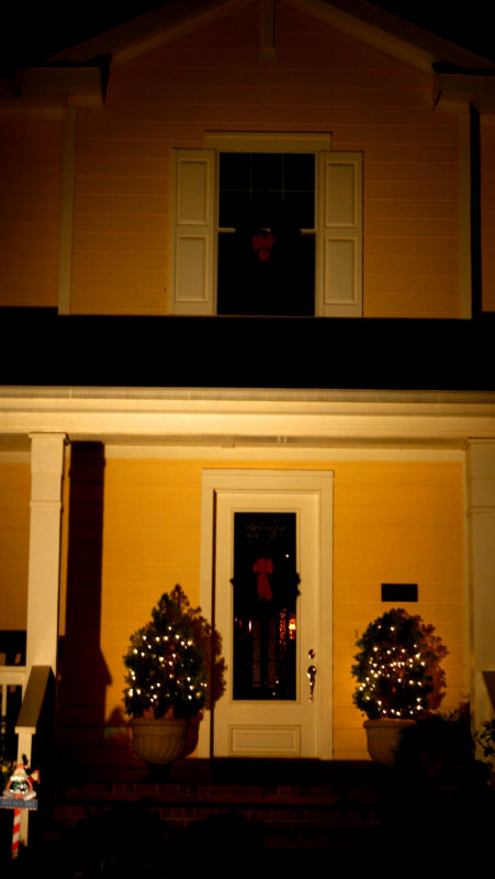 SIMPLE LIGHTS