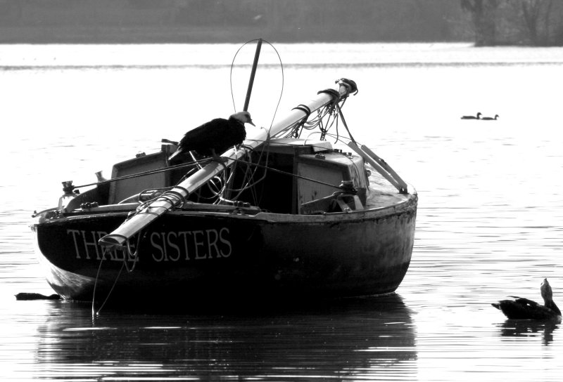 THREE SISTERS