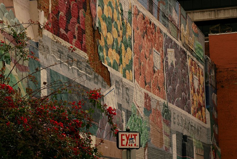 THE WALL