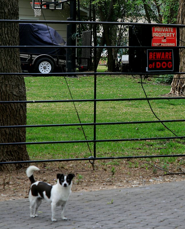 BEWARE OF DOG....YEAH, RIGHT