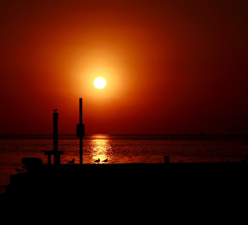 SUNSET IN KEY WEST