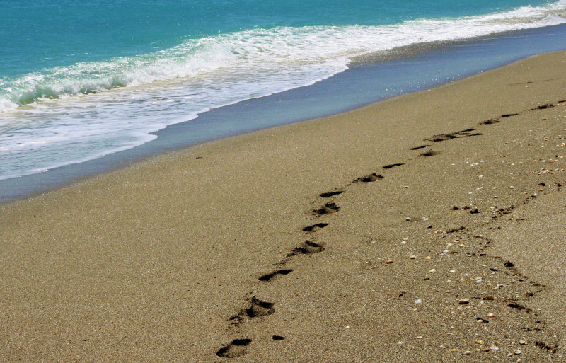 FOOTPRINTS IN THE SAND