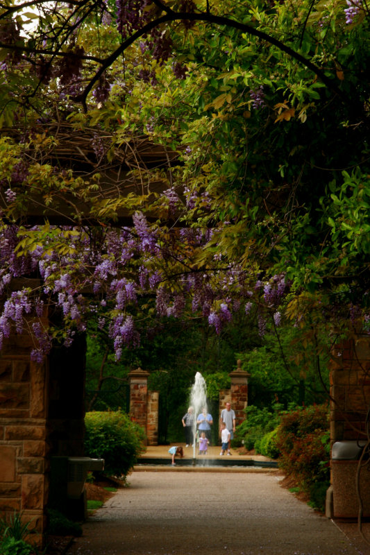 UNDER THE ARBOR