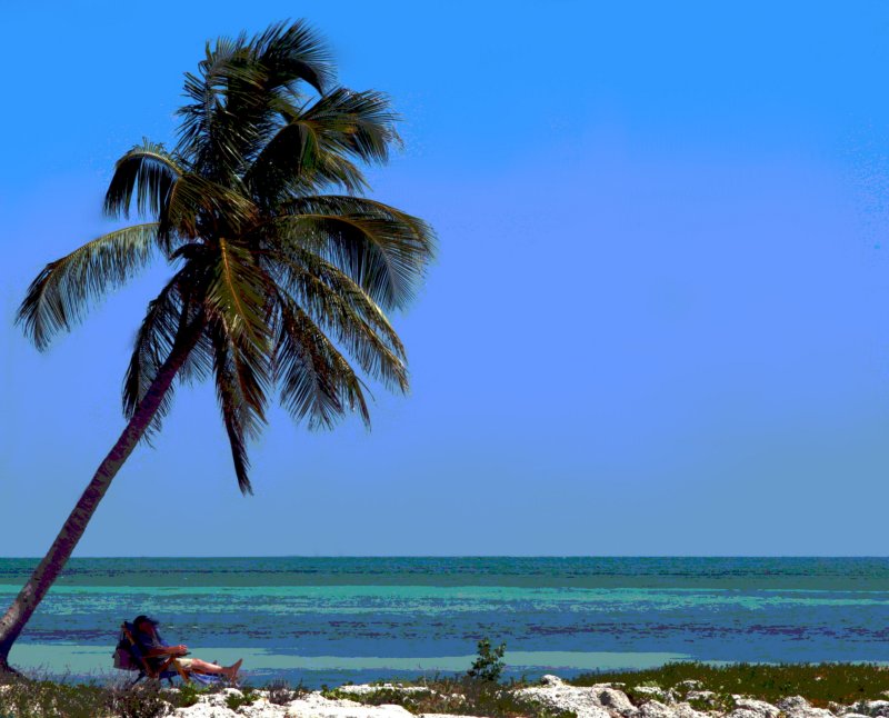 LIFE ON THE BEACH