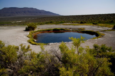 HOT SPRING IN THE MIDDLE OF THE HIGH DESERT