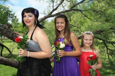 THE THREE GIRLS