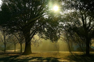 FOG ON A SUNDAY MORNING