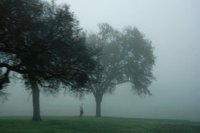 WALKING IN THE FOG