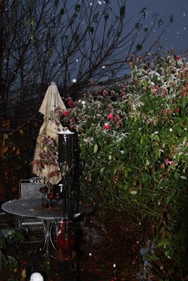MY LITTLE NOOK IN THE GARDEN