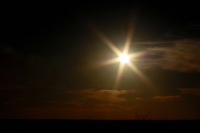 A STAR, A STAR DANCING IN THE NIGHT