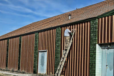 PAINTING RECTANGLES