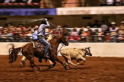 TEAM ROPING