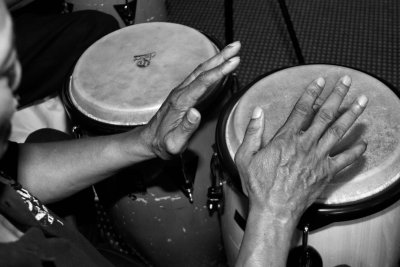 PLAYING THE BONGOS
