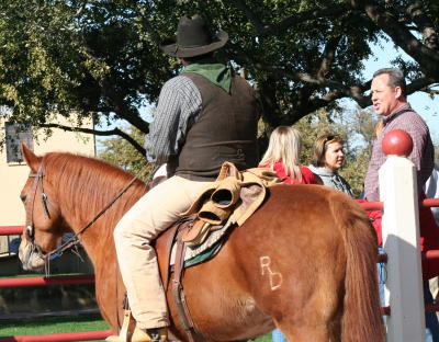 COWBOY AND HIS HORSE