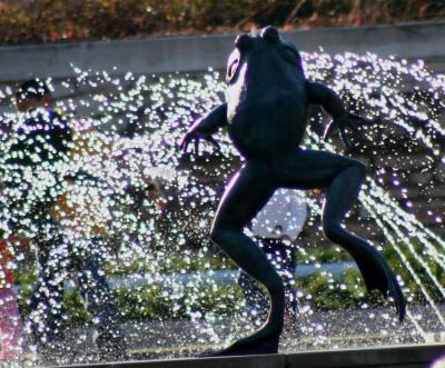 FROG IN FOUNTAIN
