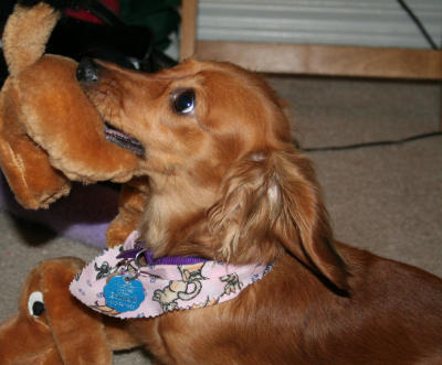 WANNA PLAY MOM
