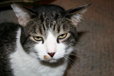 MOM, QUIT TAKING MY PICTURE!!