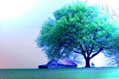 SCENIC VIEW