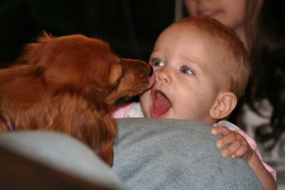 GETTING KISSES