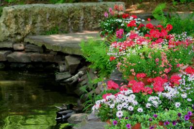 COLOR IN THE PARK