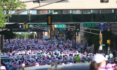 SEA OF PINK AND WHITE