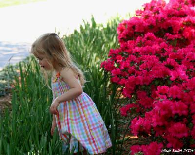 LITTLE GIRL AND AZALEAS
