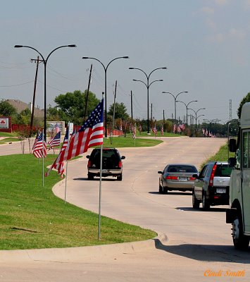 3000 FLAGS