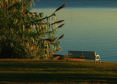 BENCH BY THE LAKE