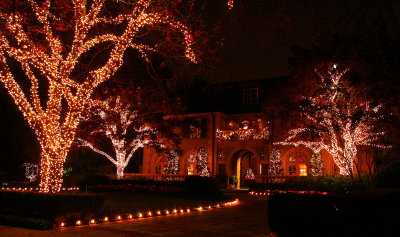 WHITE LIGHTS